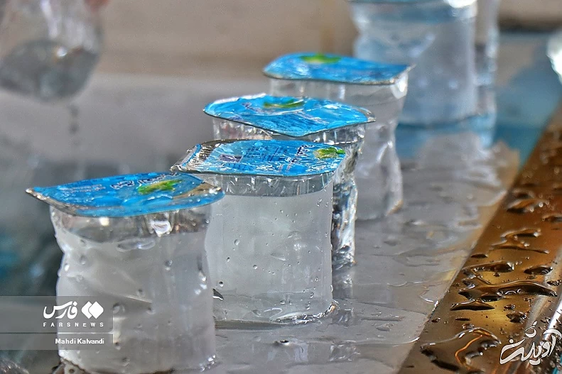 (تصاویر) بفرما «مای بارِدْ»